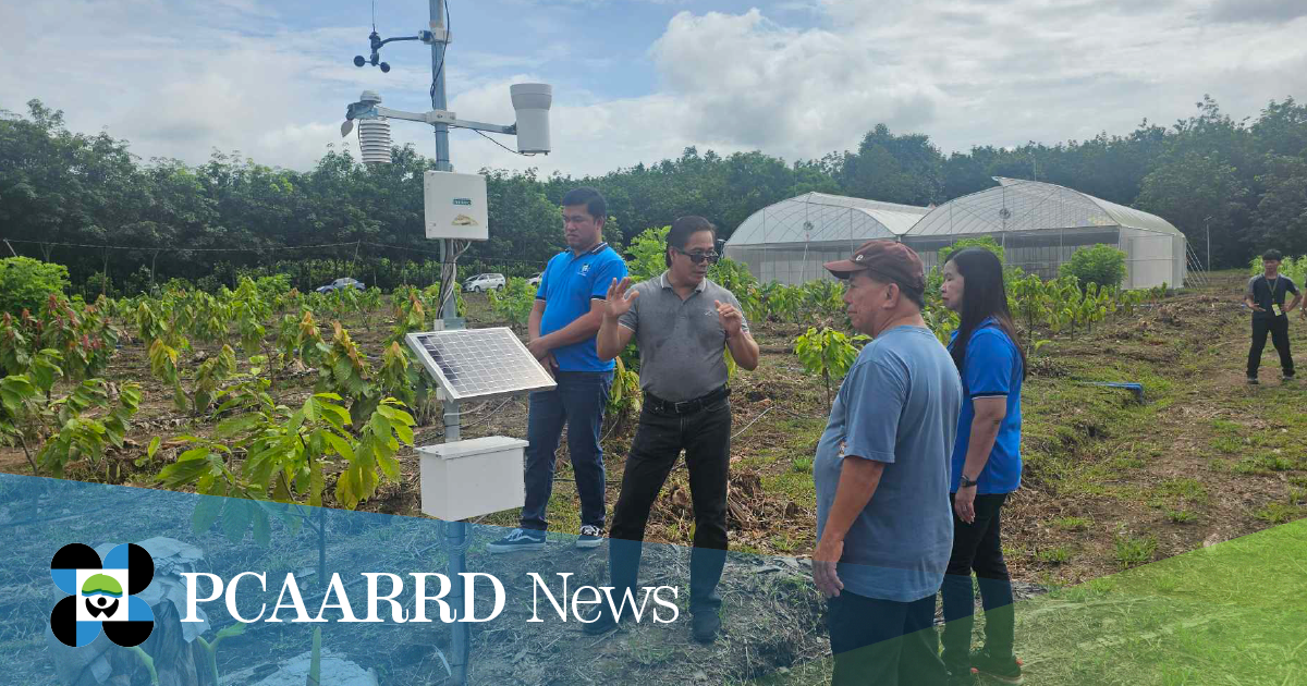 PH’s first smart cacao budwood nursery and greenhouse to boost production of quality planting materials for cacao farmers